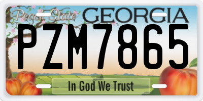 GA license plate PZM7865