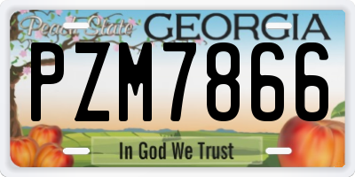 GA license plate PZM7866