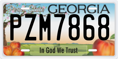 GA license plate PZM7868