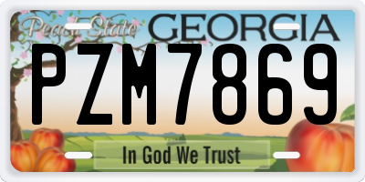 GA license plate PZM7869