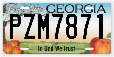 GA license plate PZM7871