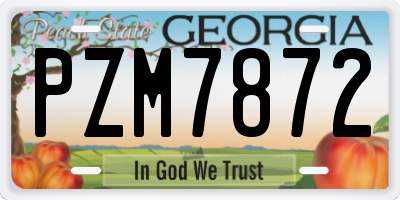 GA license plate PZM7872