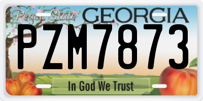 GA license plate PZM7873