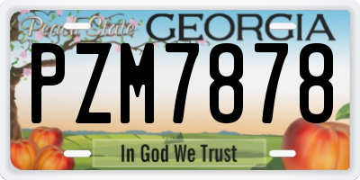GA license plate PZM7878