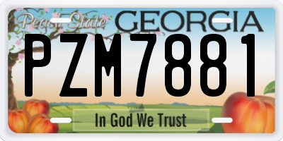 GA license plate PZM7881