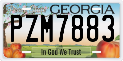 GA license plate PZM7883