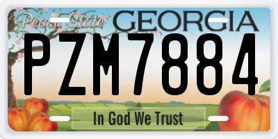 GA license plate PZM7884