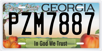 GA license plate PZM7887