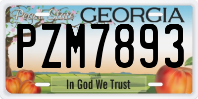 GA license plate PZM7893