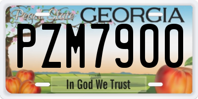 GA license plate PZM7900