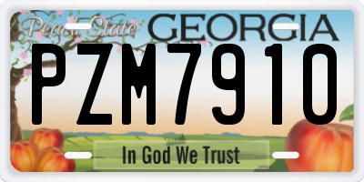 GA license plate PZM7910