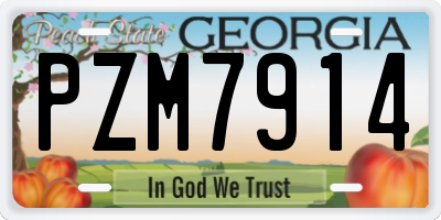 GA license plate PZM7914