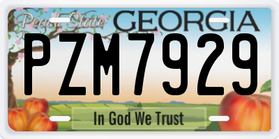 GA license plate PZM7929