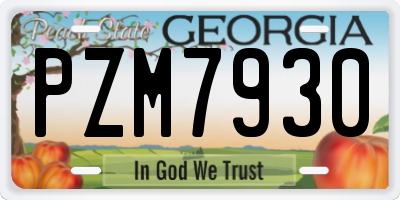 GA license plate PZM7930