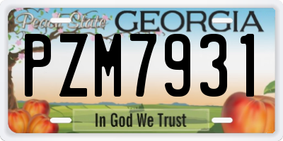 GA license plate PZM7931
