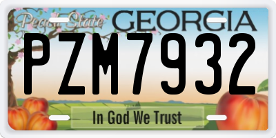 GA license plate PZM7932