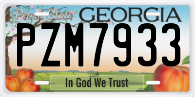 GA license plate PZM7933