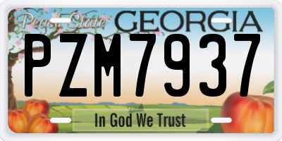 GA license plate PZM7937