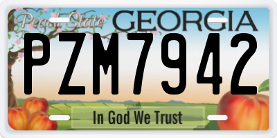 GA license plate PZM7942
