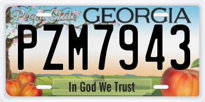 GA license plate PZM7943