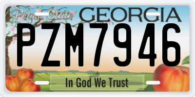 GA license plate PZM7946