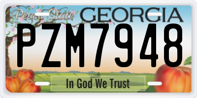 GA license plate PZM7948