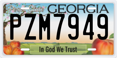 GA license plate PZM7949