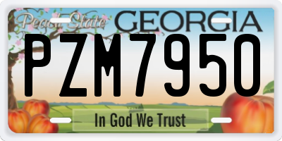 GA license plate PZM7950