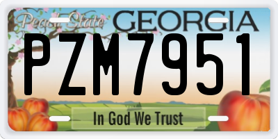 GA license plate PZM7951