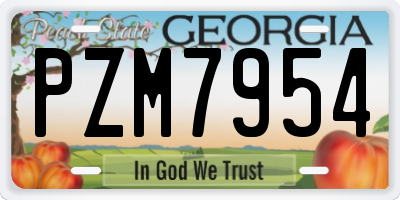 GA license plate PZM7954
