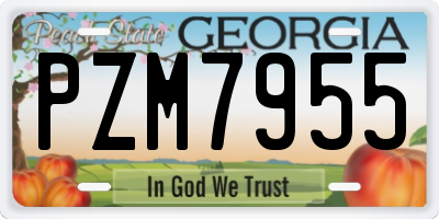 GA license plate PZM7955