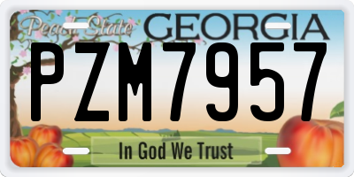 GA license plate PZM7957