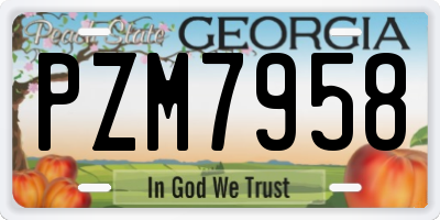 GA license plate PZM7958