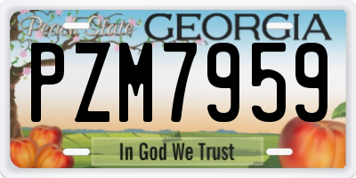 GA license plate PZM7959