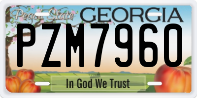 GA license plate PZM7960