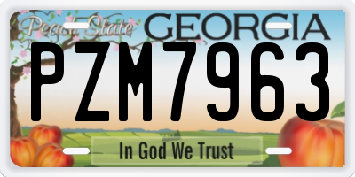 GA license plate PZM7963
