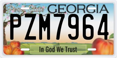GA license plate PZM7964