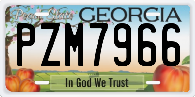 GA license plate PZM7966