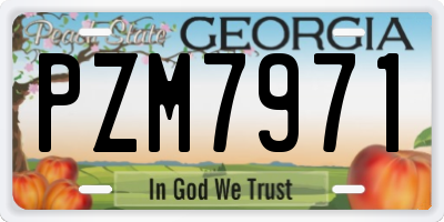 GA license plate PZM7971