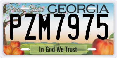 GA license plate PZM7975