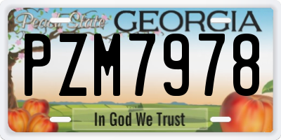 GA license plate PZM7978