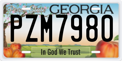 GA license plate PZM7980
