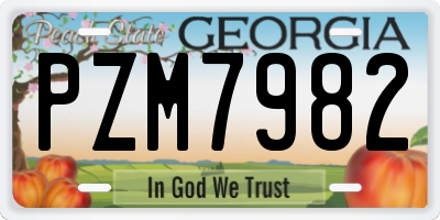 GA license plate PZM7982