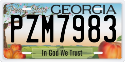 GA license plate PZM7983