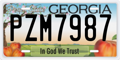 GA license plate PZM7987