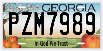 GA license plate PZM7989