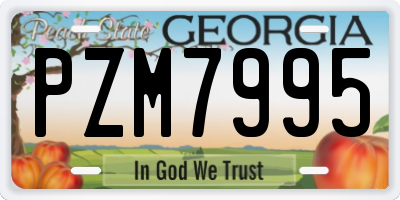 GA license plate PZM7995