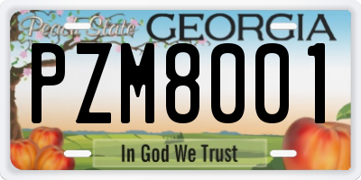 GA license plate PZM8001