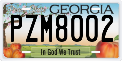 GA license plate PZM8002