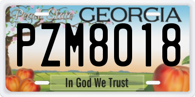 GA license plate PZM8018